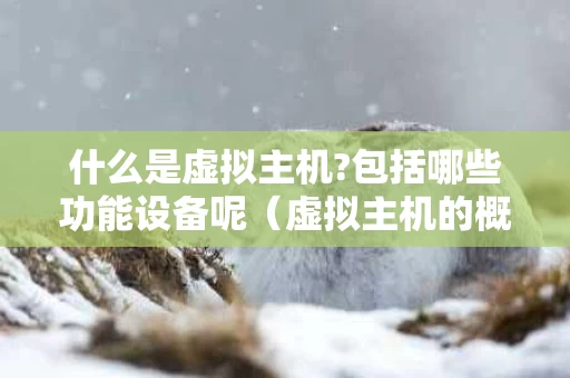 什么是虚拟主机?包括哪些功能设备呢（虚拟主机的概念）