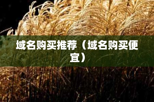域名购买推荐（域名购买便宜）
