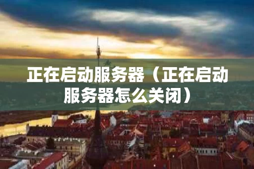 正在启动服务器（正在启动服务器怎么关闭）