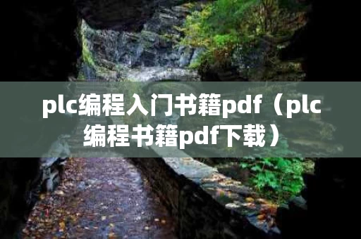 plc编程入门书籍pdf（plc编程书籍pdf下载）
