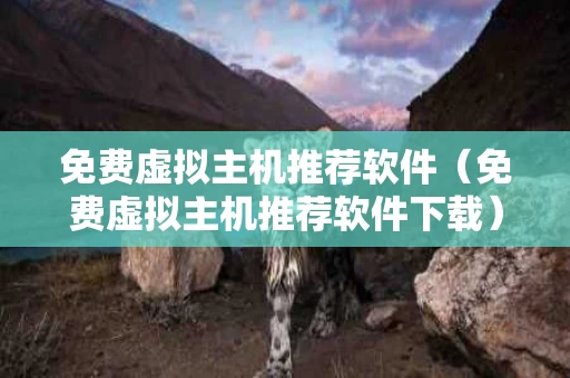 免费虚拟主机推荐软件（免费虚拟主机推荐软件下载）