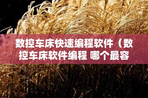 数控车床快速编程软件（数控车床软件编程 哪个最容易入门）