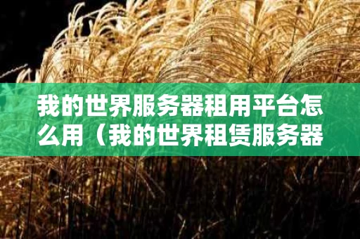 我的世界服务器租用平台怎么用（我的世界租赁服务器有什么好处）