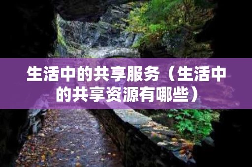 生活中的共享服务（生活中的共享资源有哪些）