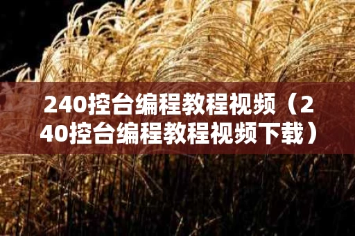 240控台编程教程视频（240控台编程教程视频下载）