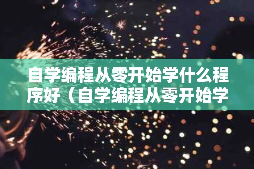 自学编程从零开始学什么程序好（自学编程从零开始学什么程序好呢）