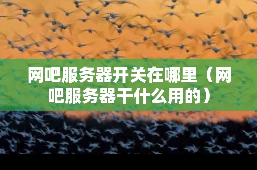网吧服务器开关在哪里（网吧服务器干什么用的）