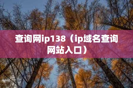 查询网ip138（ip域名查询网站入口）