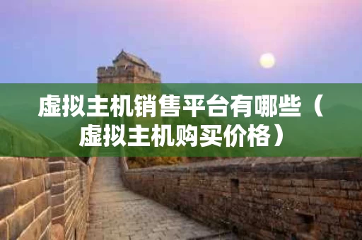 虚拟主机销售平台有哪些（虚拟主机购买价格）