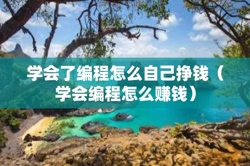 学会了编程怎么自己挣钱（学会编程怎么赚钱）