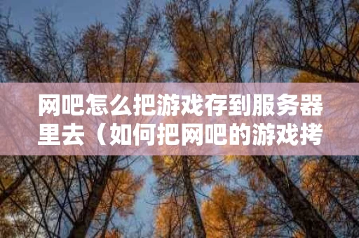 网吧怎么把游戏存到服务器里去（如何把网吧的游戏拷进u盘）