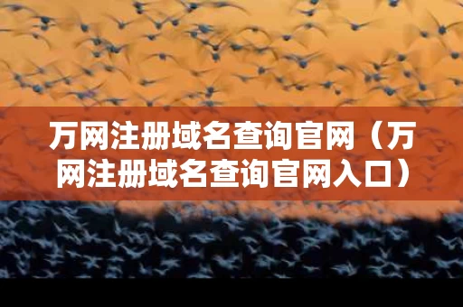 万网注册域名查询官网（万网注册域名查询官网入口）