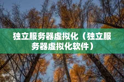 独立服务器虚拟化（独立服务器虚拟化软件）