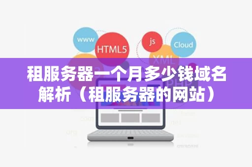租服务器一个月多少钱域名解析（租服务器的网站）