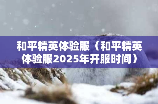 和平精英体验服（和平精英体验服2025年开服时间）