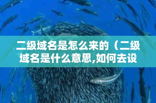 二级域名是怎么来的（二级域名是什么意思,如何去设置?）