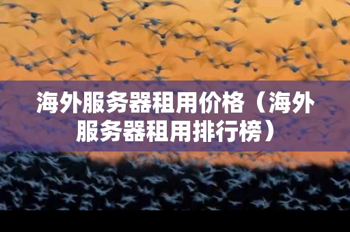海外服务器租用价格（海外服务器租用排行榜）