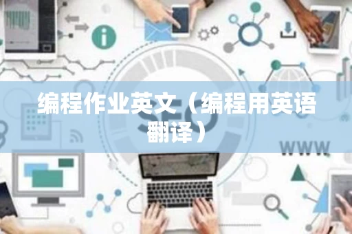 编程作业英文（编程用英语翻译）