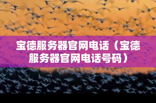 宝德服务器官网电话（宝德服务器官网电话号码）