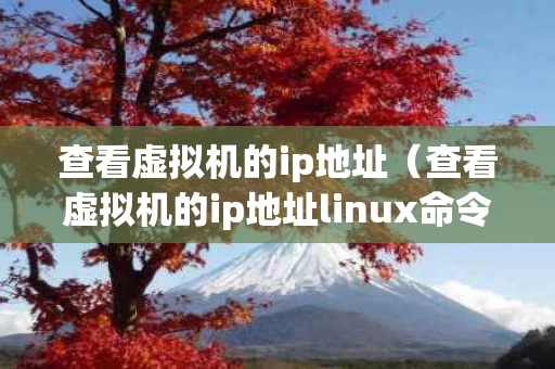查看虚拟机的ip地址（查看虚拟机的ip地址linux命令）