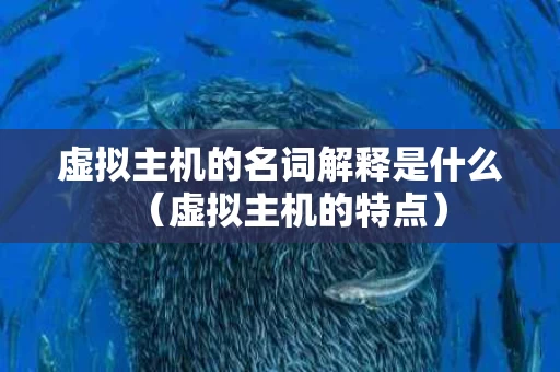 虚拟主机的名词解释是什么（虚拟主机的特点）