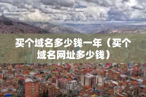 买个域名多少钱一年（买个域名网址多少钱）