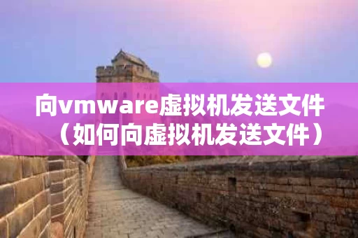 向vmware虚拟机发送文件（如何向虚拟机发送文件）