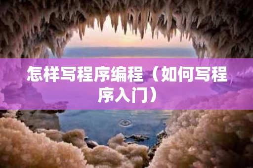 怎样写程序编程（如何写程序入门）