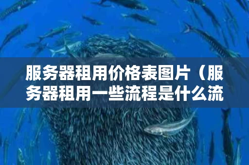 服务器租用价格表图片（服务器租用一些流程是什么流程）