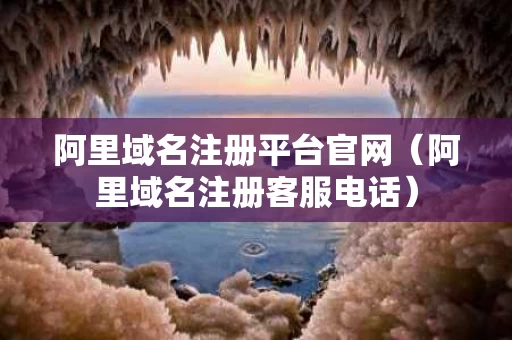阿里域名注册平台官网（阿里域名注册客服电话）