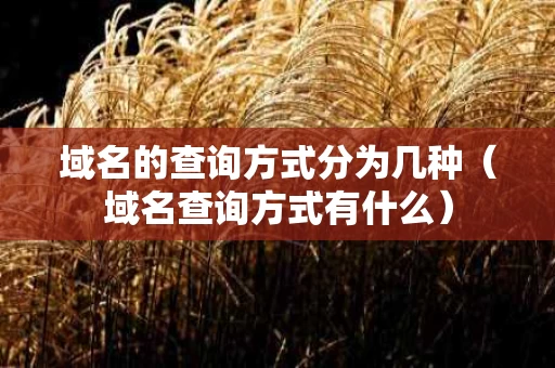 域名的查询方式分为几种（域名查询方式有什么）