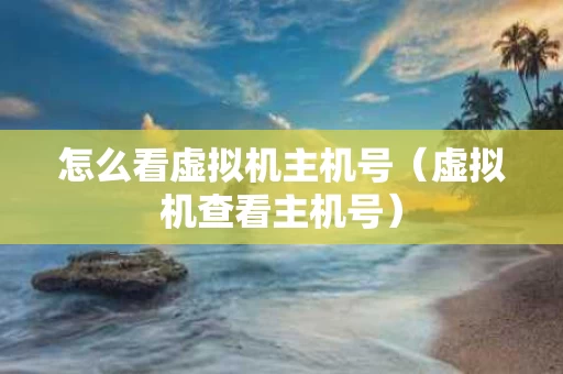 怎么看虚拟机主机号（虚拟机查看主机号）