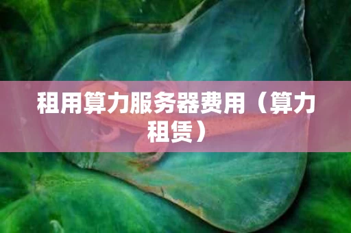 租用算力服务器费用（算力租赁）