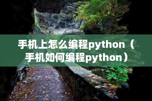 手机上怎么编程python（手机如何编程python）