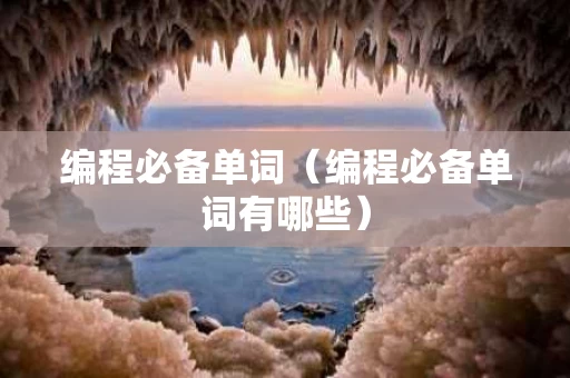 编程必备单词（编程必备单词有哪些）