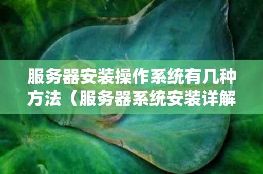 服务器安装操作系统有几种方法（服务器系统安装详解）
