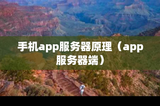 手机app服务器原理（app服务器端）
