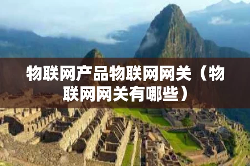 物联网产品物联网网关（物联网网关有哪些）