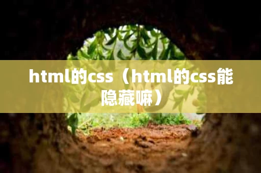html的css（html的css能隐藏嘛）