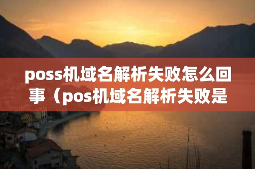 poss机域名解析失败怎么回事（pos机域名解析失败是什么原因）