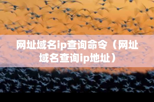 网址域名ip查询命令（网址域名查询ip地址）