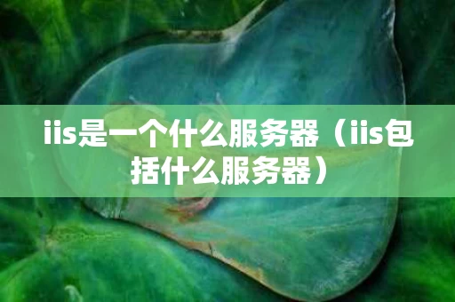 iis是一个什么服务器（iis包括什么服务器）