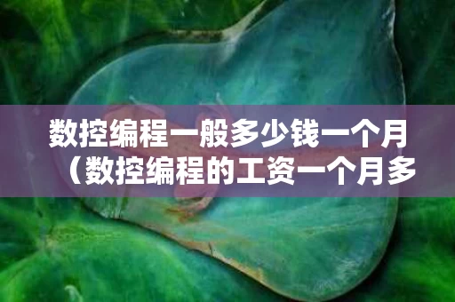 数控编程一般多少钱一个月（数控编程的工资一个月多少呢）