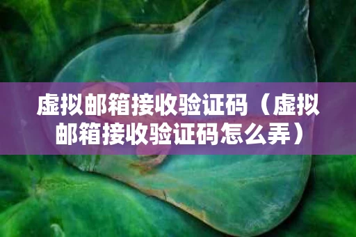 虚拟邮箱接收验证码（虚拟邮箱接收验证码怎么弄）