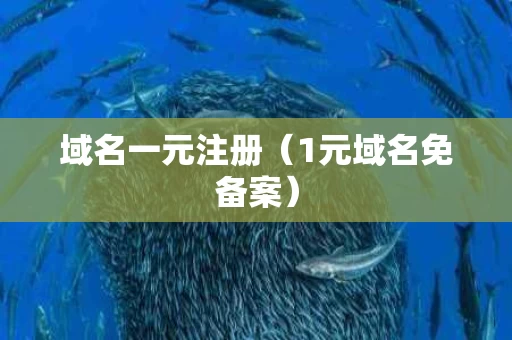 域名一元注册（1元域名免备案）