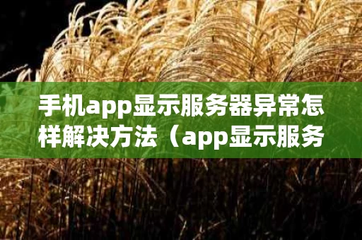 手机app显示服务器异常怎样解决方法（app显示服务器不可用什么意思）