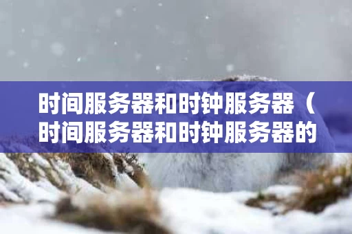 时间服务器和时钟服务器（时间服务器和时钟服务器的区别）