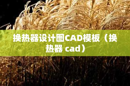 换热器设计图CAD模板（换热器 cad）