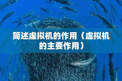 简述虚拟机的作用（虚拟机的主要作用）