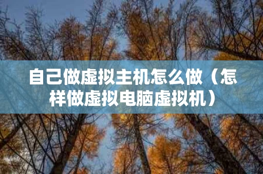 自己做虚拟主机怎么做（怎样做虚拟电脑虚拟机）